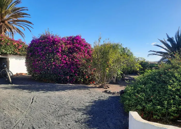 Casa De Gato Rustic Finca