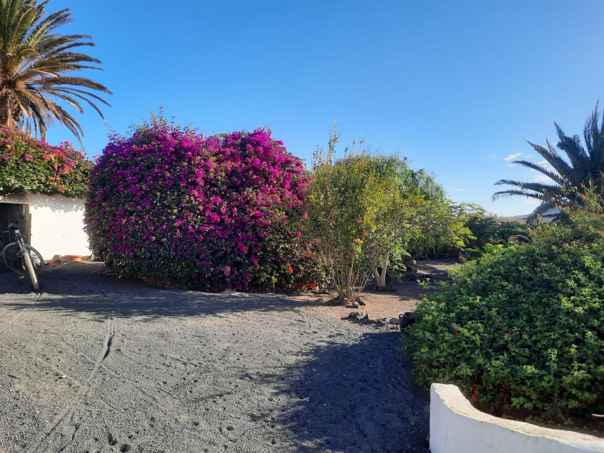 Holiday home Casa De Gato Rustic